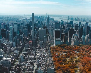CENTRAL PARK